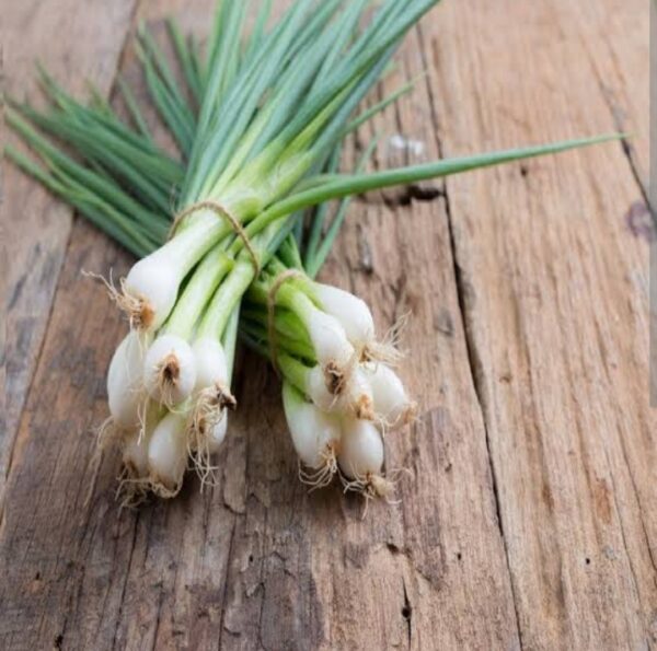 Spring onion ( hara piyaj) 5 bundle