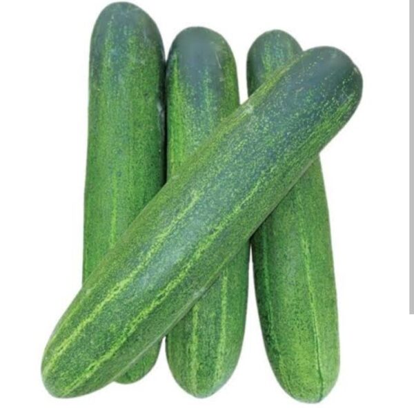 Cucumber ( khira) 2 kg