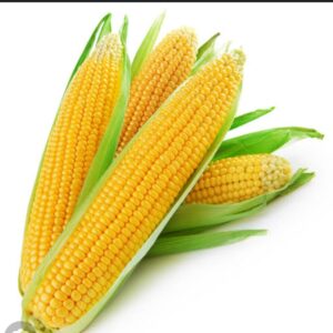 Corn 1 kg