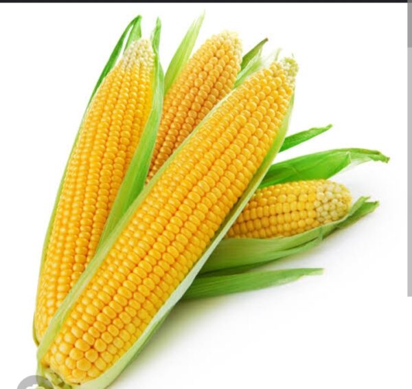 Corn 1 kg
