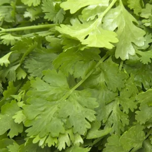 Corriendor ( dhaniya) 250 gm